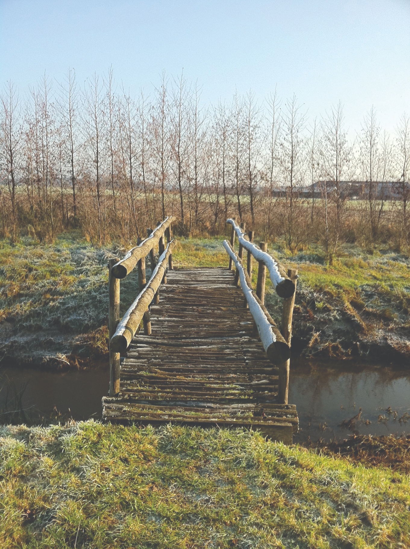 Natuurpad en houten brug in Bloeidaal